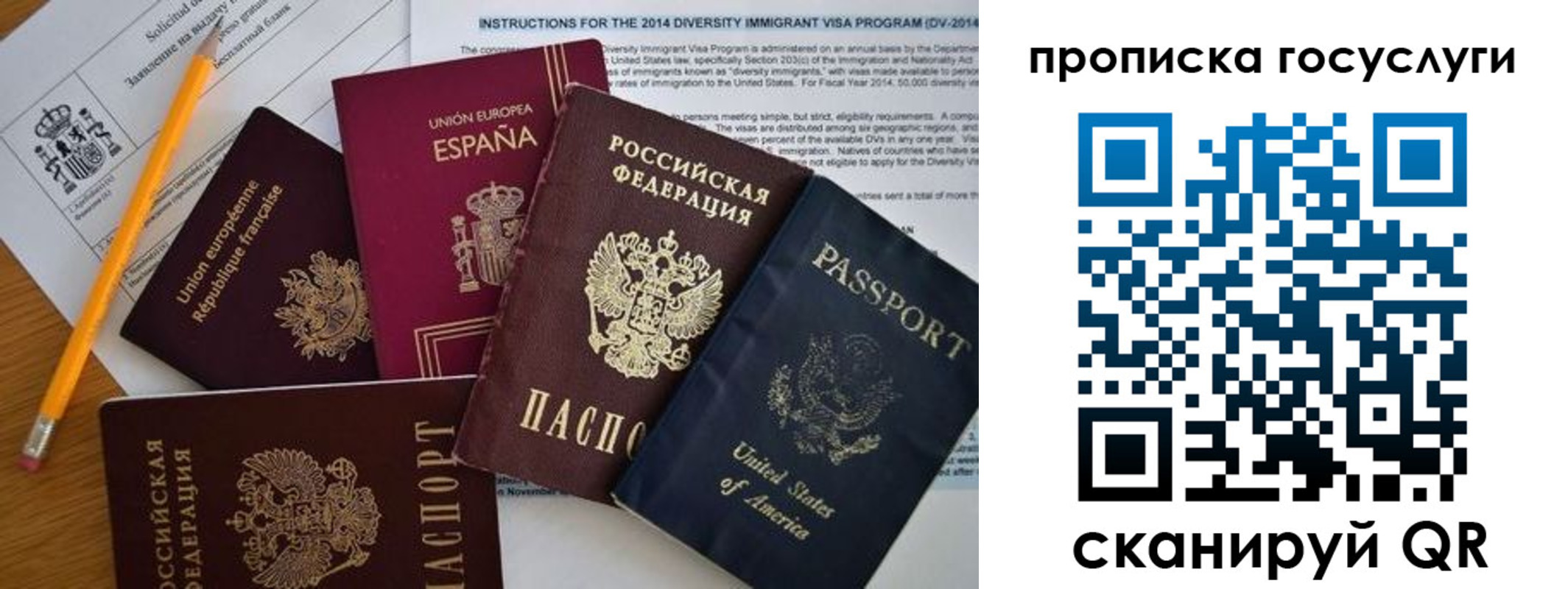 прописка гарантия в Мордовии
